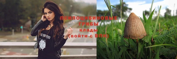 каннабис Горно-Алтайск