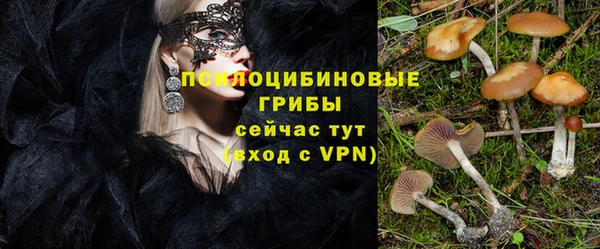 МДПВ Горнозаводск