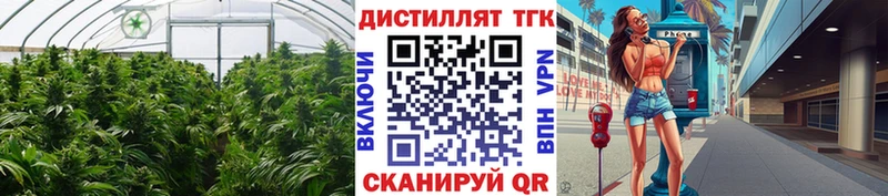 Дистиллят ТГК вейп  где купить   Можайск 