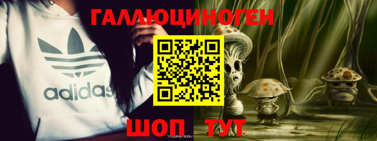 Псилоцибиновые грибы мухоморы Можайск